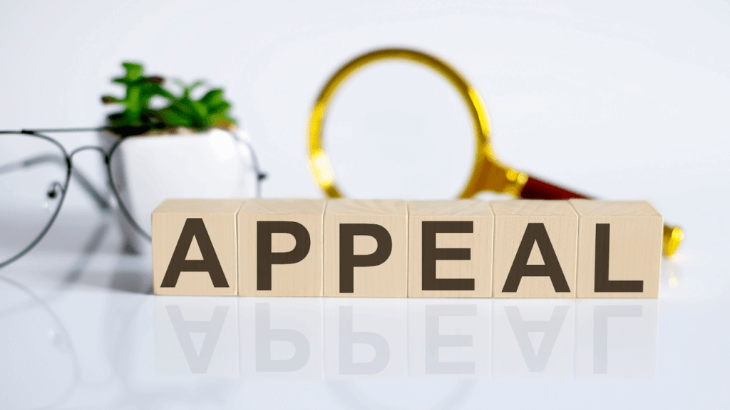 SSDI appeal success rates explained with wooden letter blocks spelling appeal and magnifying glass representing disability claims review process